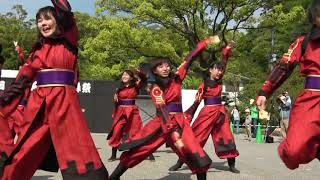 崇城大学～華咲流舞～ 第１５回太宰府門前真舞祭 2019