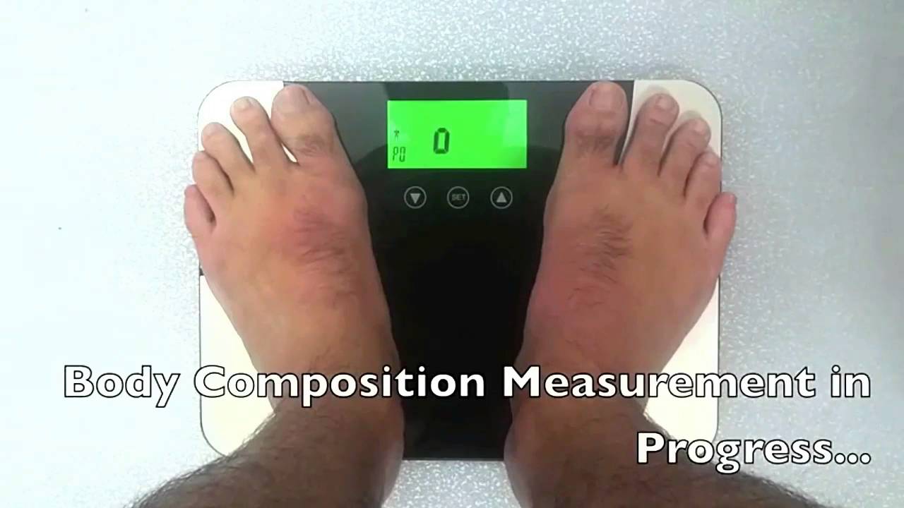 Digital Body Fat Scale - YouTube