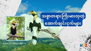 သစ္စာတရားကြီးမားလှတဲ့ အောက်ချင်းငှက်များ ,