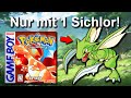 Kann man Pokemon Rot/Blau mit NUR einem SICHLOR durchspielen? (+ möglichst wenig Level)