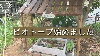 ビオトープ完成しました♪/めだかのいる庭