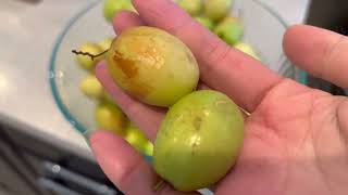 How to Eat Jujube Asian way