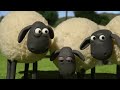 cat got your brain shaun the sheep season 2 full episode