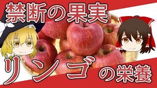 【ゆっくり解説】リンゴの栄養について解説します