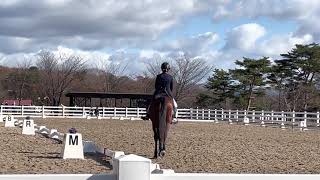 第57回全日本学生馬術女子選手権大会　決勝　３年　堀坂七菜子　杉旭