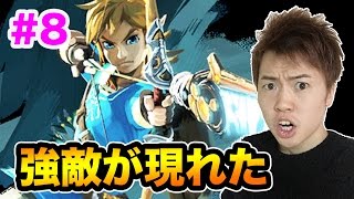 【ゼルダの伝説】敵がいきなり強くなりすぎててやばい！#8