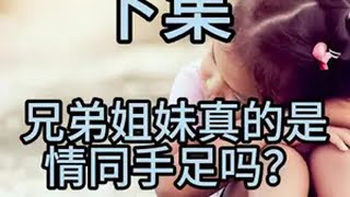 第762集||兄弟姐妹真的是情同手足吗？【下集】 情感共鸣 生活感悟 亲情 手足情深 兄弟姐妹