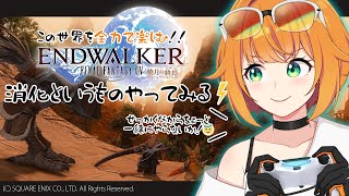 【FF14暁月編/初見配信】せっかくだから少しだけ一緒に遊びたい！【＃源ニコ / PYGOSCELIS+】