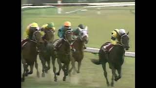 ダイイチルビー 1990年 第25回サンケイスポーツ賞4歳牝馬特別(GII) (優勝馬：キョウエイタップ)