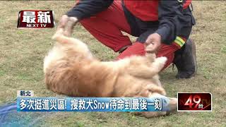 「最萌搜救犬」Snow光榮退役！ 功成身退開放民眾申請認養