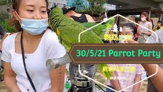 東九龍鸚鵡之友 30/5/2021 ParrotParty@觀塘海濱公園 (Wendy Gift \u0026 Marshall GPS)