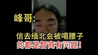 峰哥:信去缅北会被噶腰子的都是智商有问题！