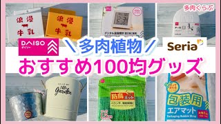 【多肉植物】おすすめ100均グッズ❣️ダイソー・セリア購入品/可愛い寄せ植えも作成