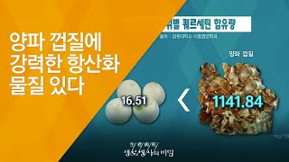 양파 껍질에 강력한 항산화 물질 있다 - (2016.6.22_586회 방송)_전체식 프로젝트 1편 과일, 채소 껍질째 먹어라