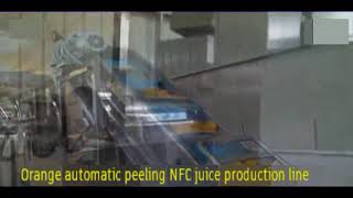 A good business idea Orange automatic peeling health NFC juice production line