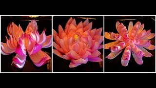3 DELICIOUS LIFE HACKS HOW TO MAKE FLOWER ONION - VEGETABLE CARVING & ONION DESIGN - ONION GARNISH