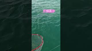 2025年成功捕獲第一條黑沙 #fishing #釣魚 #艇釣