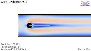 DualSPHysics example: CaseTurekHronFSI2