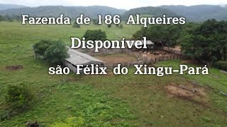 fazenda Titulada a venda em são Félix do Xingu 186 alqueires 150 alqueires em pasto