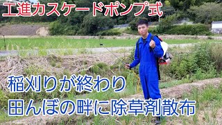 田んぼの畔に除草剤散布！！