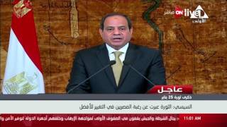 ذكرى ثورة 25 يناير.. السيسي: الثورة عبرت عن رغبة المصريين في التغيير للأفضل