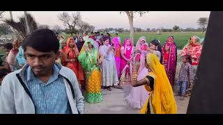 Rajasthan shadi dance