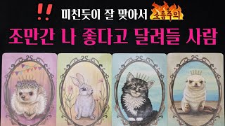 [타로] 🚨소름주의‼️내가 좋다고 달려들 그 사람💗 외모 성격 시기 장소 딱! 집어 알려드려요🔥