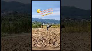 Pakhnus ta pakhnus ta billkul part 2 / tiktok viral / nepali / funny video