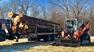 Skidsteer loading full length trees!