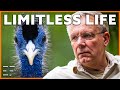 Limitless Life | Prof. dr. Jan van der Greef