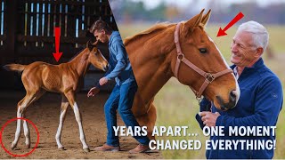 Reunited After Decades This Mustang’s Reaction Will Melt Your Heart