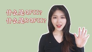 什么是QFII, RQFII?【小白聊金融】“外行人”一听就懂的投资理财小知识