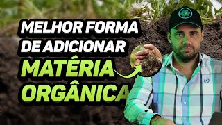 COMO AS RAÍZES ADICIONAM MATÉRIA ORGÂNICA NO SOLO