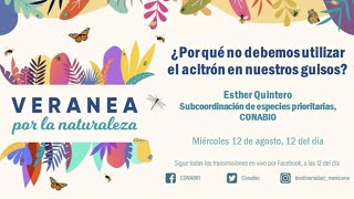 ¿Por qué no debemos utilizar el acitrón en nuestros guisos?, Esther Quintero, CONABIO.