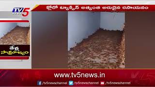 Viral Video: ఒకే గదిలో లక్షలాది తేళ్లు..! Thousands Of Scorpions In a Room || TV5 News Digital