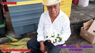 BANDA DE VIENTO CUAPUENTE POPURRI DE HUAPANGOS