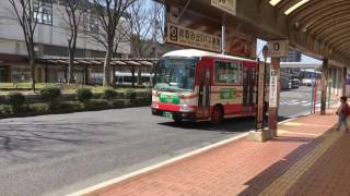 100円循環バス緑コース鳥取駅バスターミナル出発