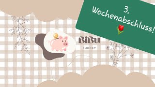 3. Wochenabschluss im Februar #Budgetplanung #Umschlagmethode #Budgetierung #Sparen