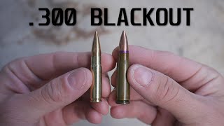 What's the Point of .300 Blackout?
