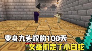 我的世界：变成九头蛇在MC里生存100天！小白蛇牺牲（63 93）