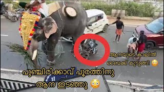 പുഞ്ചിരിക്കാവ് പൂരത്തിനു ആന ഇടഞ്ഞു |ആനയുടെ കാലിൽ ബൈക്ക് കുടുങ്ങി 😳#elephantattack #aanapremi