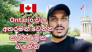 Ontario වල අතරමන් වෙන්න කලින් මේක බලන්න | Presto සිංහලෙන් | Sinhala | Sri Lanka | Toronto | Vlog 03