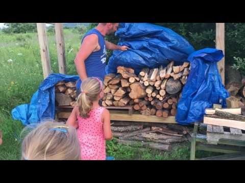 Removing more SNAKES from the fire wood pile Removing more SNAKES from the fire wood pile
