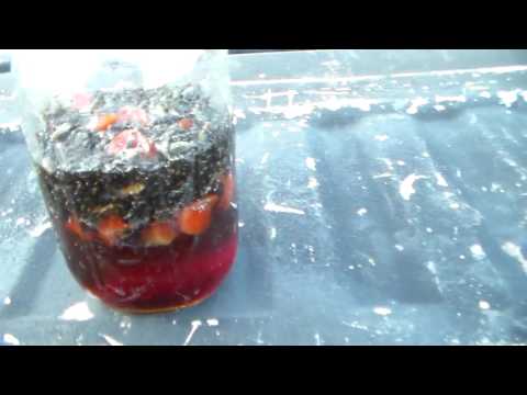 The cheapest, best, homemade fly trap you can build. The cheapest, best, homemade fly trap you can build.