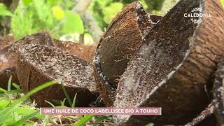 Une huile de coco labellisée bio à Touho