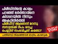 മാസക്കുളി ആണെന്ന് മറന്നു സന്ധ്യയ്ക്ക് ദീപം വെച്ച പെണ്ണിന് സംഭവിച്ചത് | PRANAYAMAZHA STORY