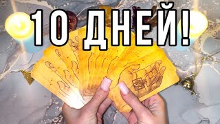 💯‼️ЛУЧШЕ ПРИСЯДЬТЕ!😱СОБЫТИЯ 10 ДНЕЙ!