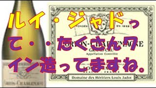 【ワイン】ドメーヌ？モノポール？シャトー？ルイ・ジャドについて【ワインをもっと身近に】