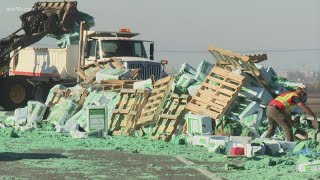 Overturned tractor trailer spills green growth medium near Sacramento Airport