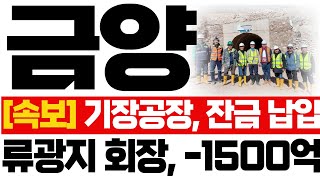 [금양 주가전망]🔥속보🔥기장공장, 잔금 납입 류광지 회장 -1500억 회복 #2차전지 #금양 #트럼프